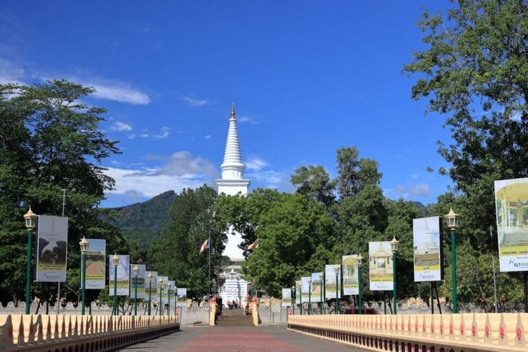 Alley with Trees and Flags near Traditional Buddhist Temple