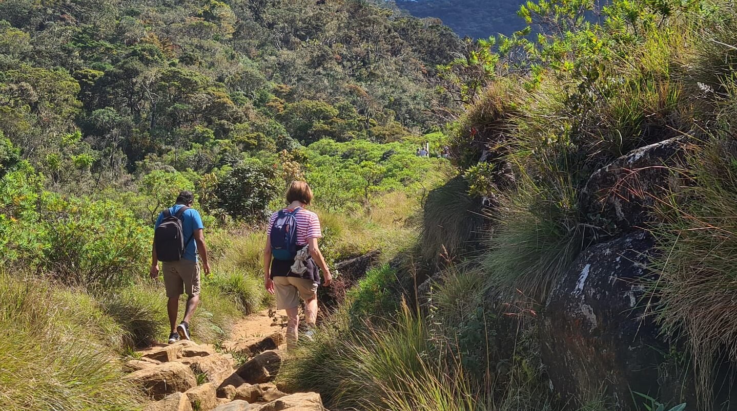 Read more about the article Top 5 Wildlife Experiences in Sri Lanka