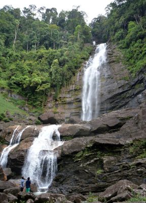 zipwp-image-7331034 Low Angle Shot of Mapalana Ella Falls